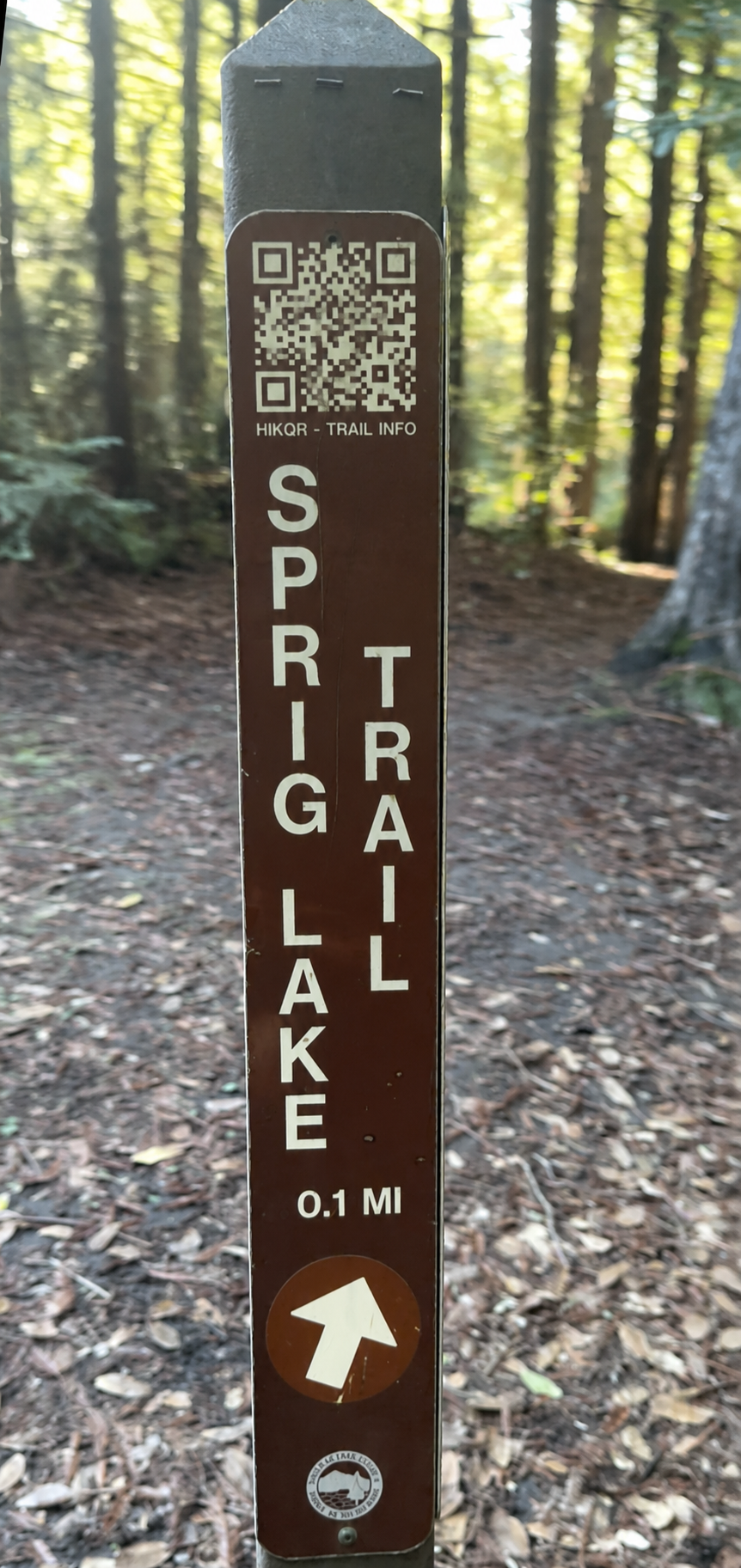 HikQR QR code on Sprig Lake Trail post